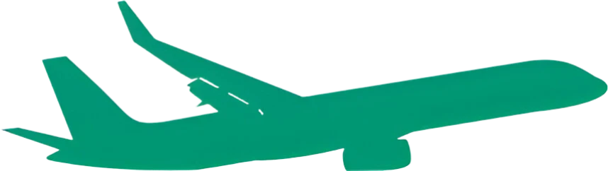 Nakil – Refakatçi